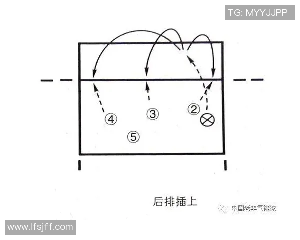 深圳排球队在精英赛中的战术分析与表现评估